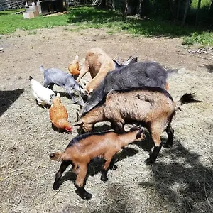 Hébergement de vacances Le Bellevue, Dolomieux